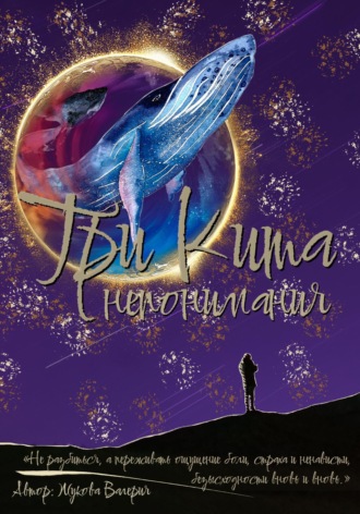 Обложка книги «Три кита непонимания»