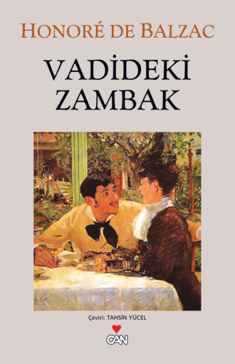 Обложка книги «Vadideki Zambak»