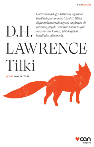 Обложка книги «Tilki»