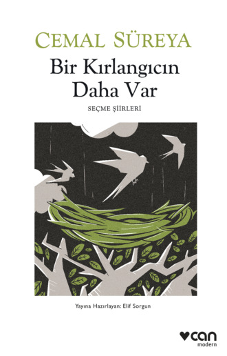 Обложка книги «Bir Kırlangıcın Daha Var»