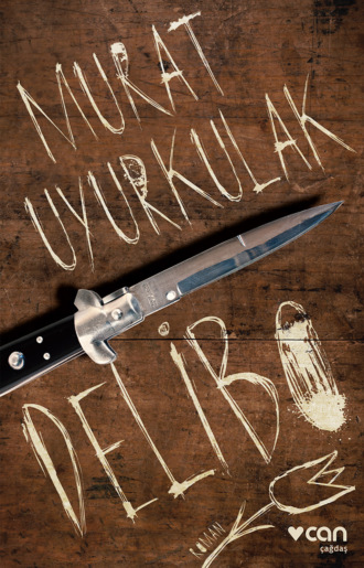 Обложка книги «Delibo»