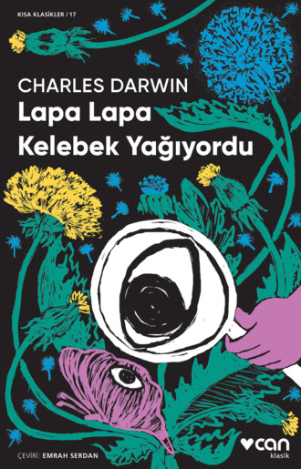 Обложка книги «Lapa Lapa Kelebek Yağıyordu»