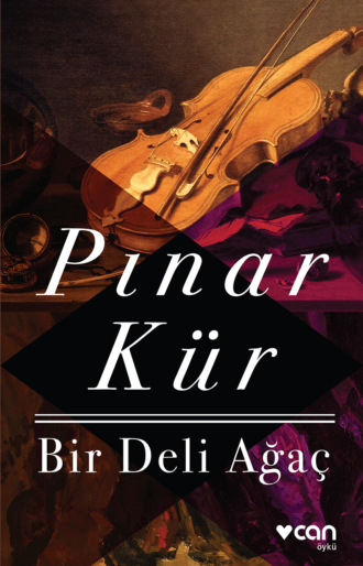 Обложка книги «Bir Deli Ağaç»