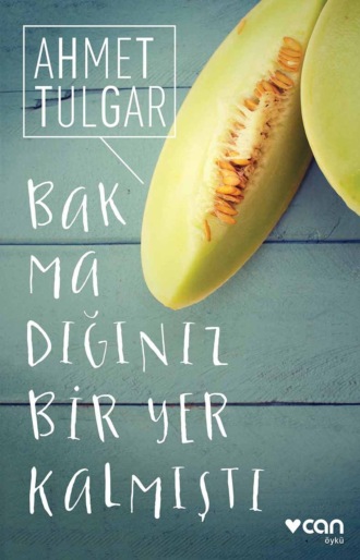 Обложка книги «Bakmadığınız Bir Yer Kalmıştı»