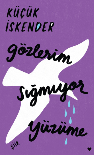 Обложка книги «Gözlerim Sığmıyor Yüzüme»