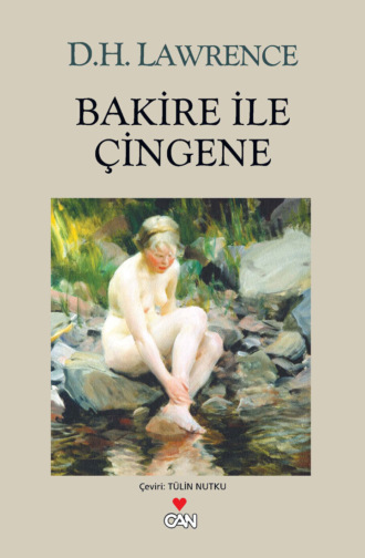 Обложка книги «Bakire ile Çingene»