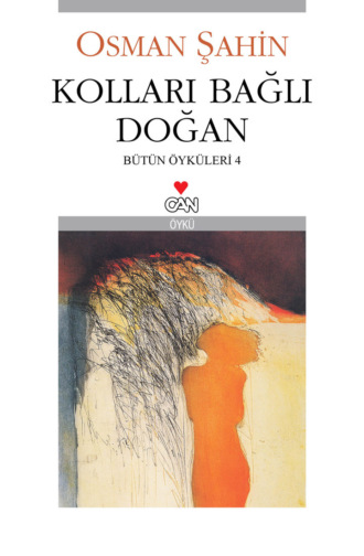 Обложка книги «Kolları Bağlı Doğan»