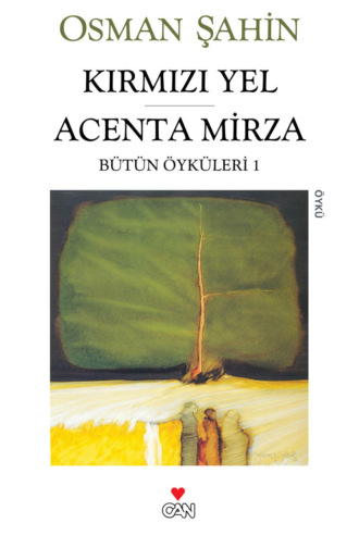 Обложка книги «Kırmızı Yel Acenta Mirza»