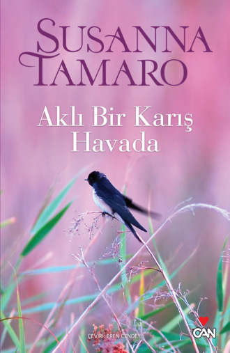 Обложка книги «Aklı Bir Karış Havada»