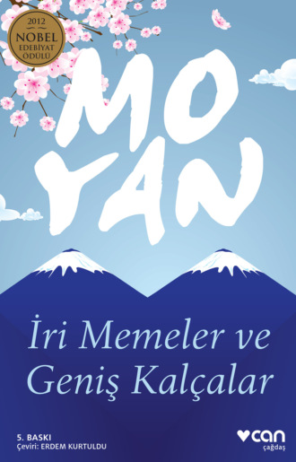 Обложка книги «İri Memeler ve Geniş Kalçalar»