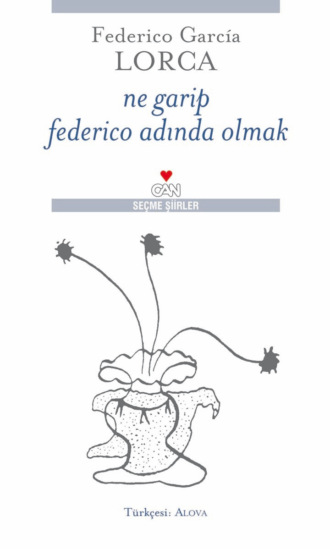 Обложка книги «Ne Garip Federico Adında Olmak»