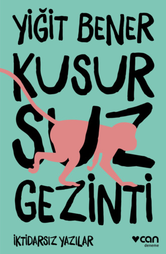 Обложка книги «Kusursuz Gezinti»