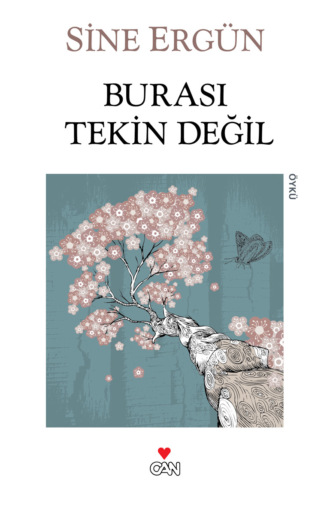Обложка книги «Burası Tekin Değil»