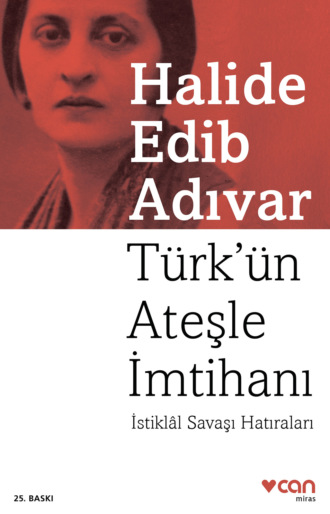 Обложка книги «Türk'ün Ateşle İmtihanı»