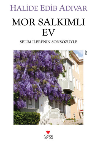Обложка книги «Mor Salkımlı Ev»