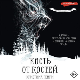 Обложка книги «Кость от костей»
