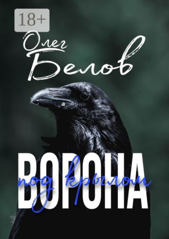 Обложка книги «Под крылом ворона»