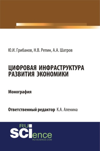 Никита Васильевич Репин. Цифровая инфраструктура развития экономики. (Аспирантура, Бакалавриат, Магистратура). Монография.