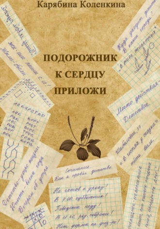 Обложка книги «Подорожник к сердцу приложи»