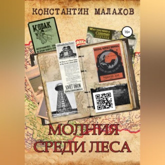 Обложка книги «Молния среди леса»