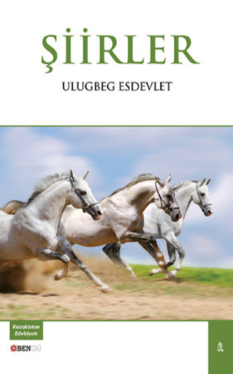 Обложка книги «Şiirler»