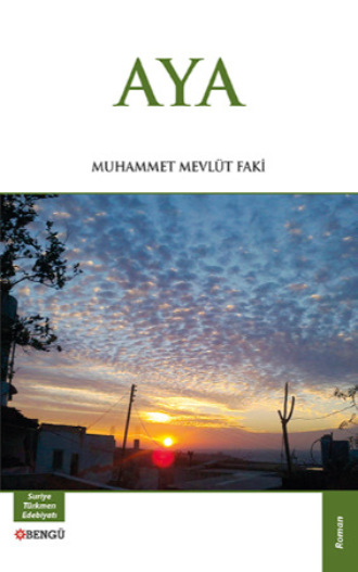 Обложка книги «Aya»