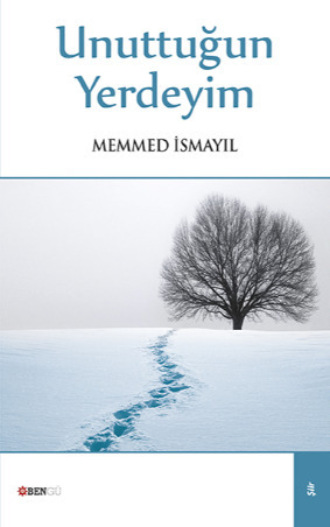 Обложка книги «Unuttuğun Yerdeyim»