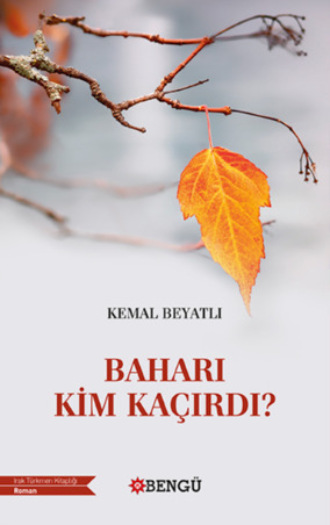Обложка книги «Baharı Kim Kaçırdı?»