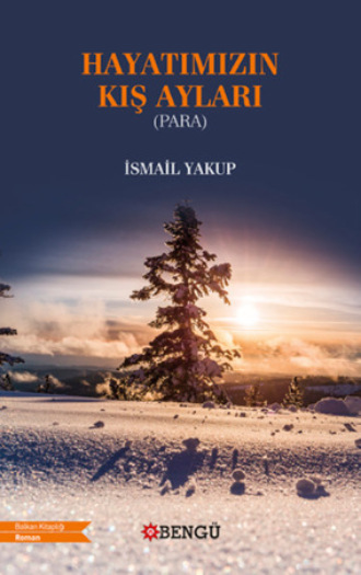 Обложка книги «Hayatımızın Kış Ayları»
