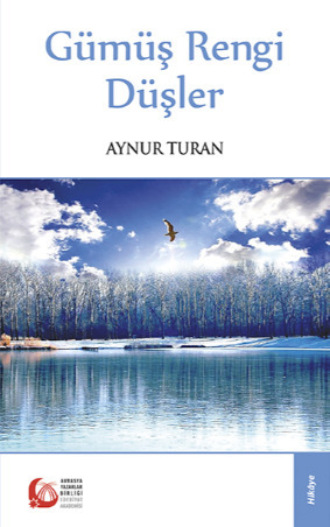 Обложка книги «Gümüş Rengi Düşler»