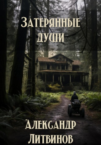 Обложка книги «Затерянные души»