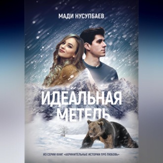 Обложка книги «Идеальная метель»