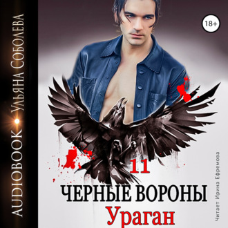 Обложка книги «Чёрные вороны 11. Ураган»