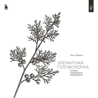 Обложка книги «Элегантная головоломка. Системы инженерного менеджмента»