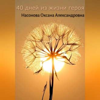 Обложка книги «40 дней из жизни героя»