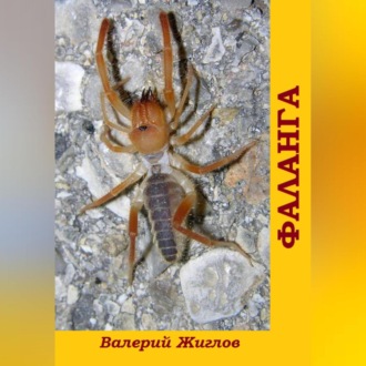 Обложка книги «Фаланга»