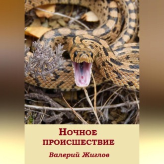 Обложка книги «Ночное происшествие»