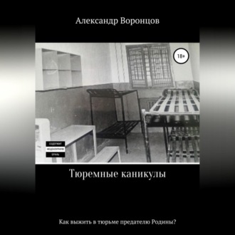 Обложка книги «Тюремные каникулы»