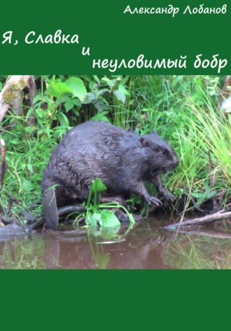 Обложка книги «Я, Славка и неуловимый бобр»
