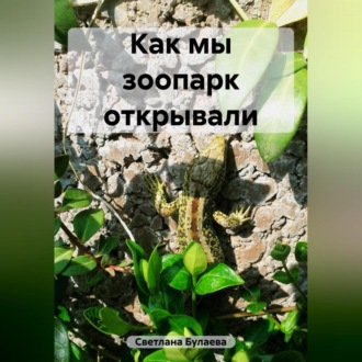 Обложка книги «Как мы зоопарк открывали»