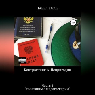 Обложка книги «Контрактник А. Непригодин. Часть 2»