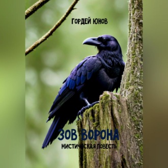 Обложка книги «Зов ворона»