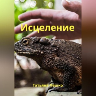 Обложка книги «Исцеление»