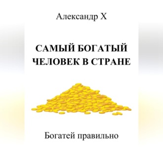 Обложка книги «Самый богатый человек в стране»