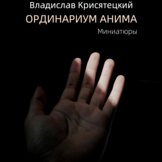 Обложка книги «Ординариум Анима»