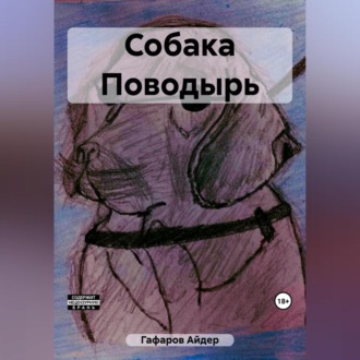 Обложка книги «Собака Поводырь»