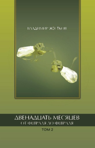 Обложка книги «Двенадцать месяцев. От февраля до февраля. Том 2»