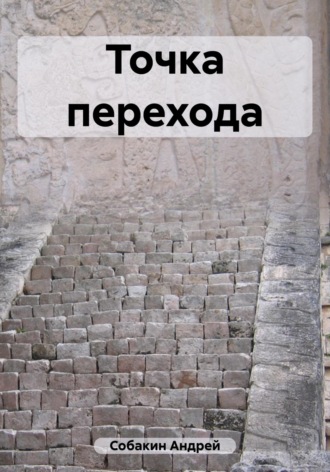 Обложка книги «Точка перехода»