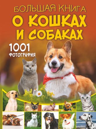 Обложка книги «Большая книга о кошках и собаках. 1001 фотография»