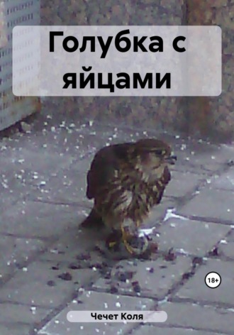 Обложка книги «Голубка с яйцами»
